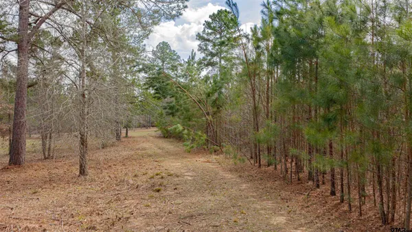 $399,000 | 4387 Fm 13 Street, Henderson, TX 75654