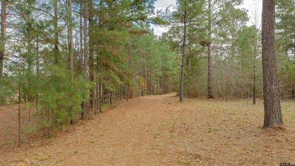 $399,000 | 4387 Fm 13 Street, Henderson, TX 75654