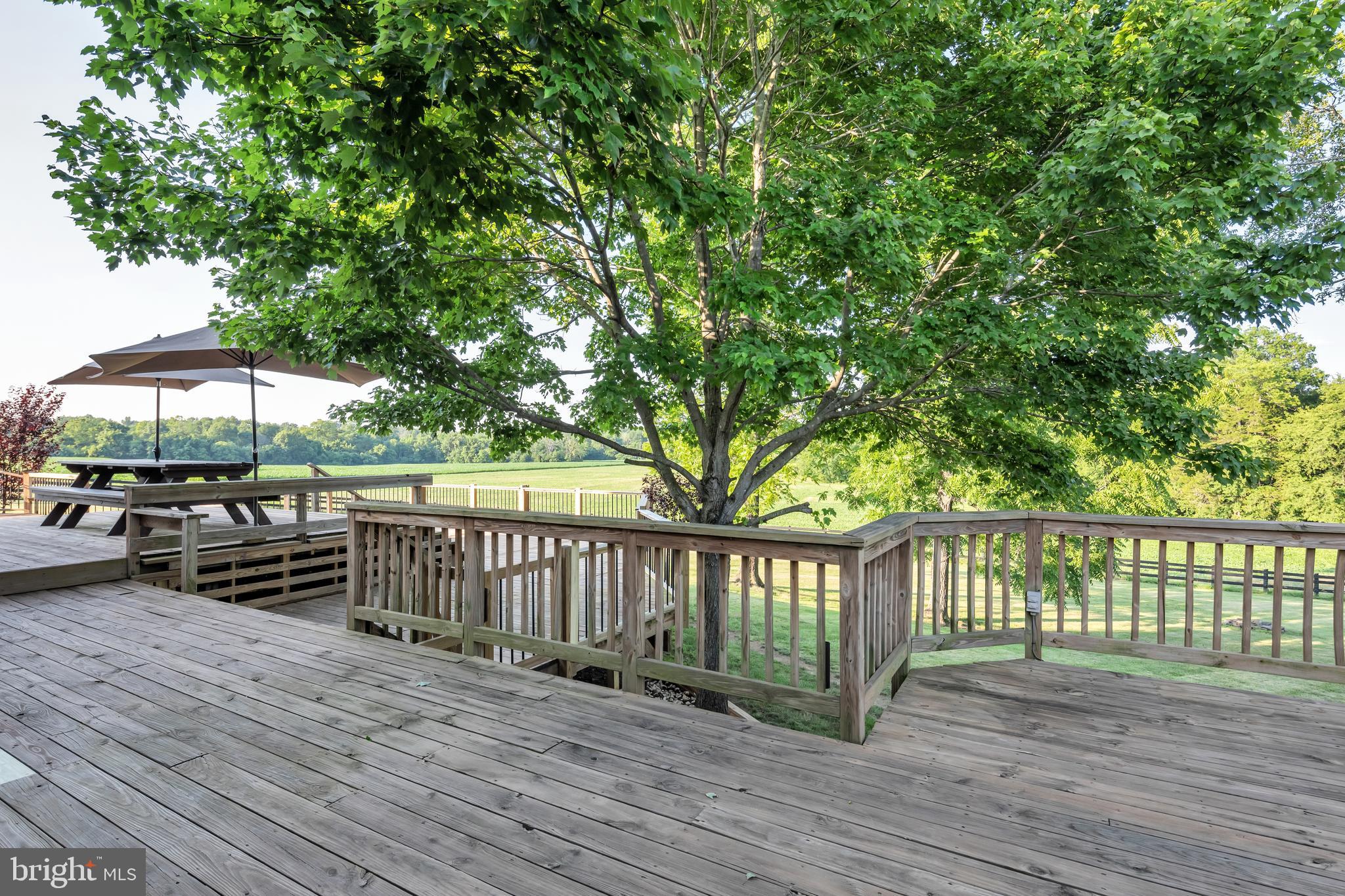9869 Meetze Road Midland, VA 22728 - Photo 40 of 62 Gallery Image 40