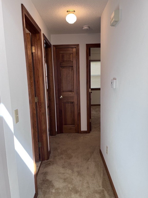 48 Peekskill Avenue Springfield, MA 01129 - Photo 14 of 23 an empty room with closet