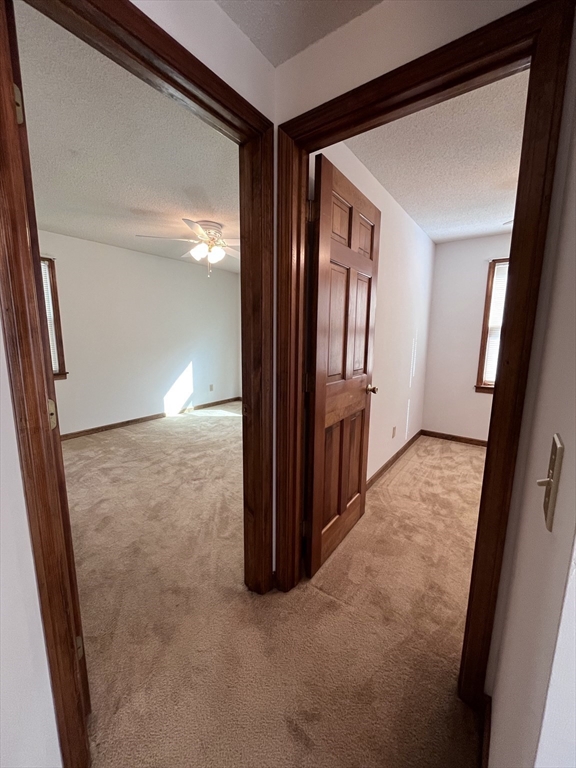 48 Peekskill Avenue Springfield, MA 01129 - Photo 21 of 23