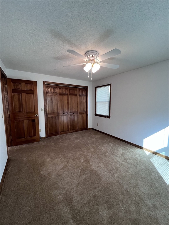 48 Peekskill Avenue Springfield, MA 01129 - Photo 22 of 23 wooden floor and windows in an empty room