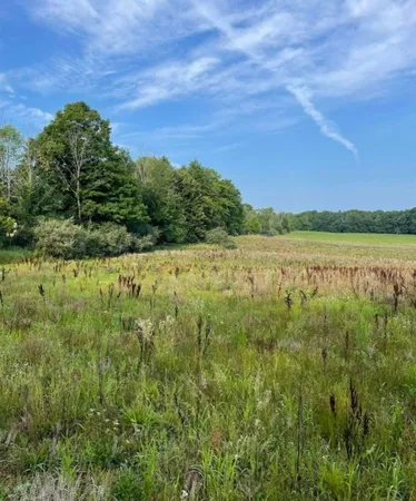 $65,000 | 3 3 Mile Road, Reed City, MI 49677