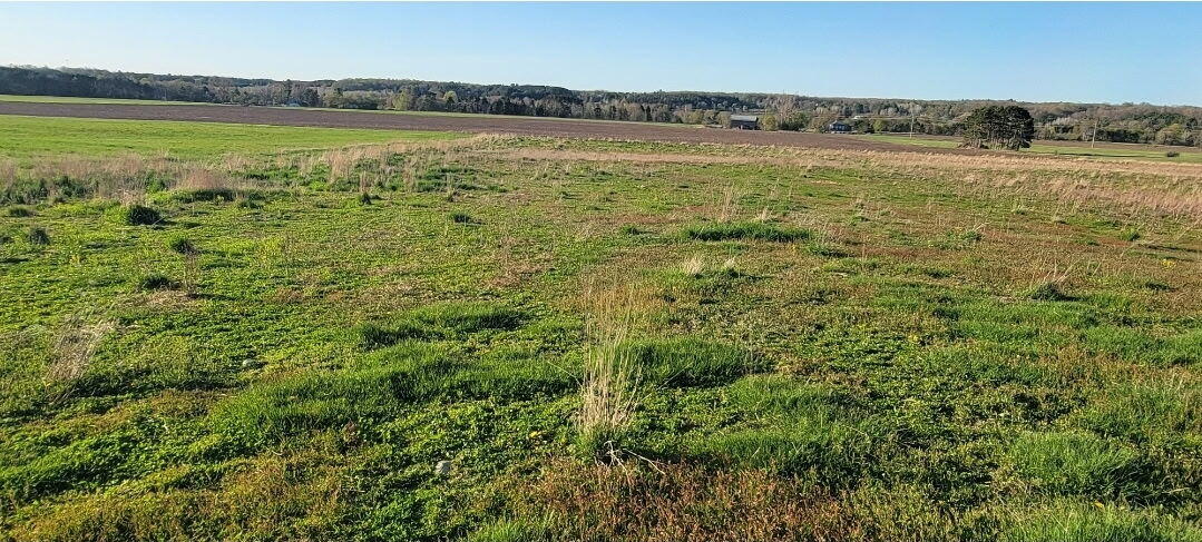 3 3 Mile Road Reed City, MI 49677 - Photo 3 of 5 599040387608451880