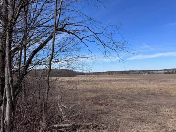 $65,000 | 3 3 Mile Road, Reed City, MI 49677