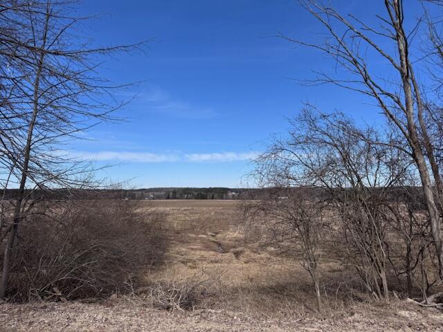 3 3 Mile Road Reed City, MI 49677 - Photo 5 of 5 IMG_2704