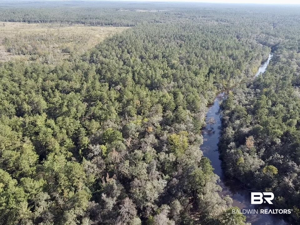 0 Country Road Vinegar Bend, AL 36584 - Photo 20 of 46