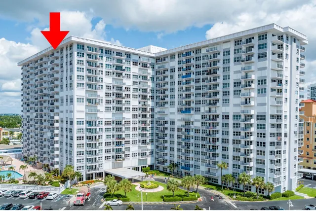 a view of a palm plant with a palm plant