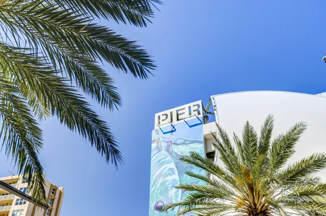 a view of a palm tree with a yard