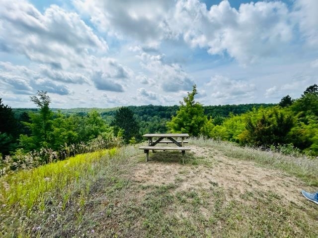 8559 Homestead Road Benzonia, MI 49616 - Photo 10 of 42
