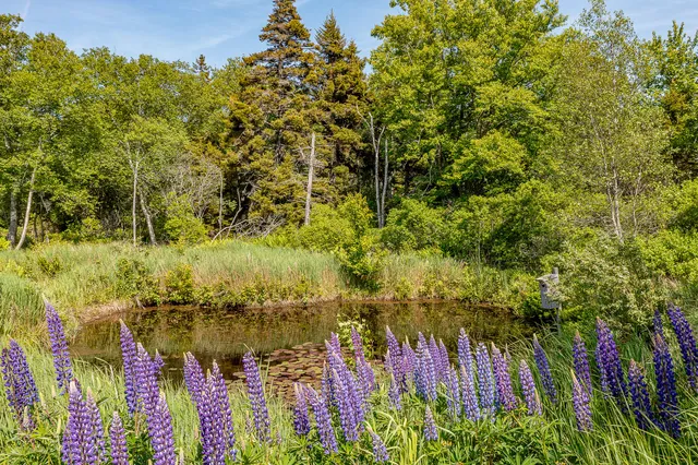 $1,850,000 | 161 North Road, Matinicus, ME 04851