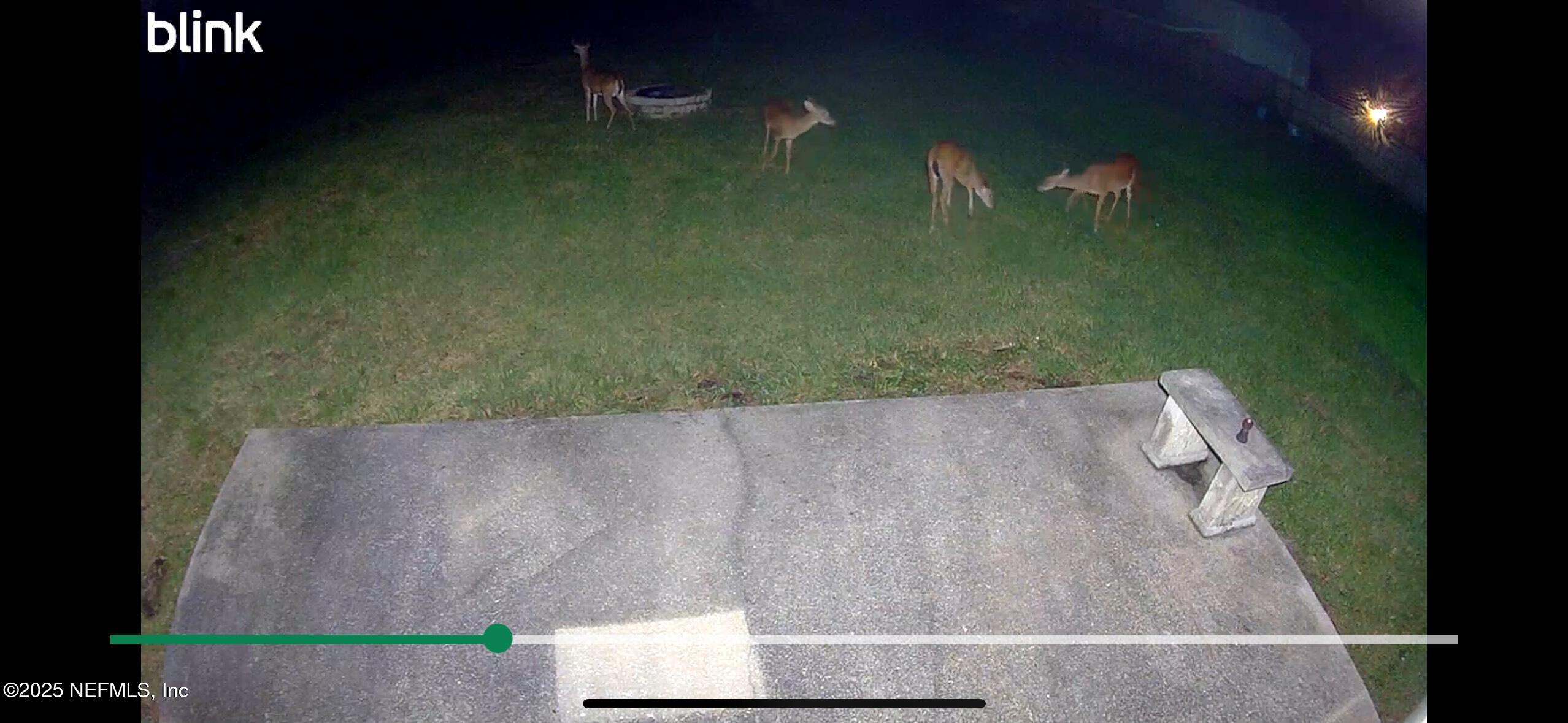 4932 Vogel Road St. Augustine, FL 32092 - Photo 43 of 49 IMG_2969 (1)