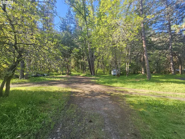 a view of outdoor space with trees all around