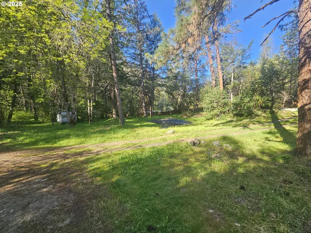 a view of a yard with a house and large trees