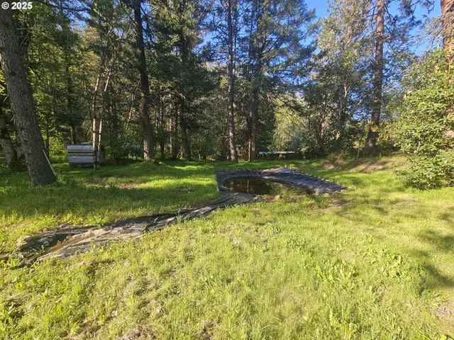 a view of a yard with an trees