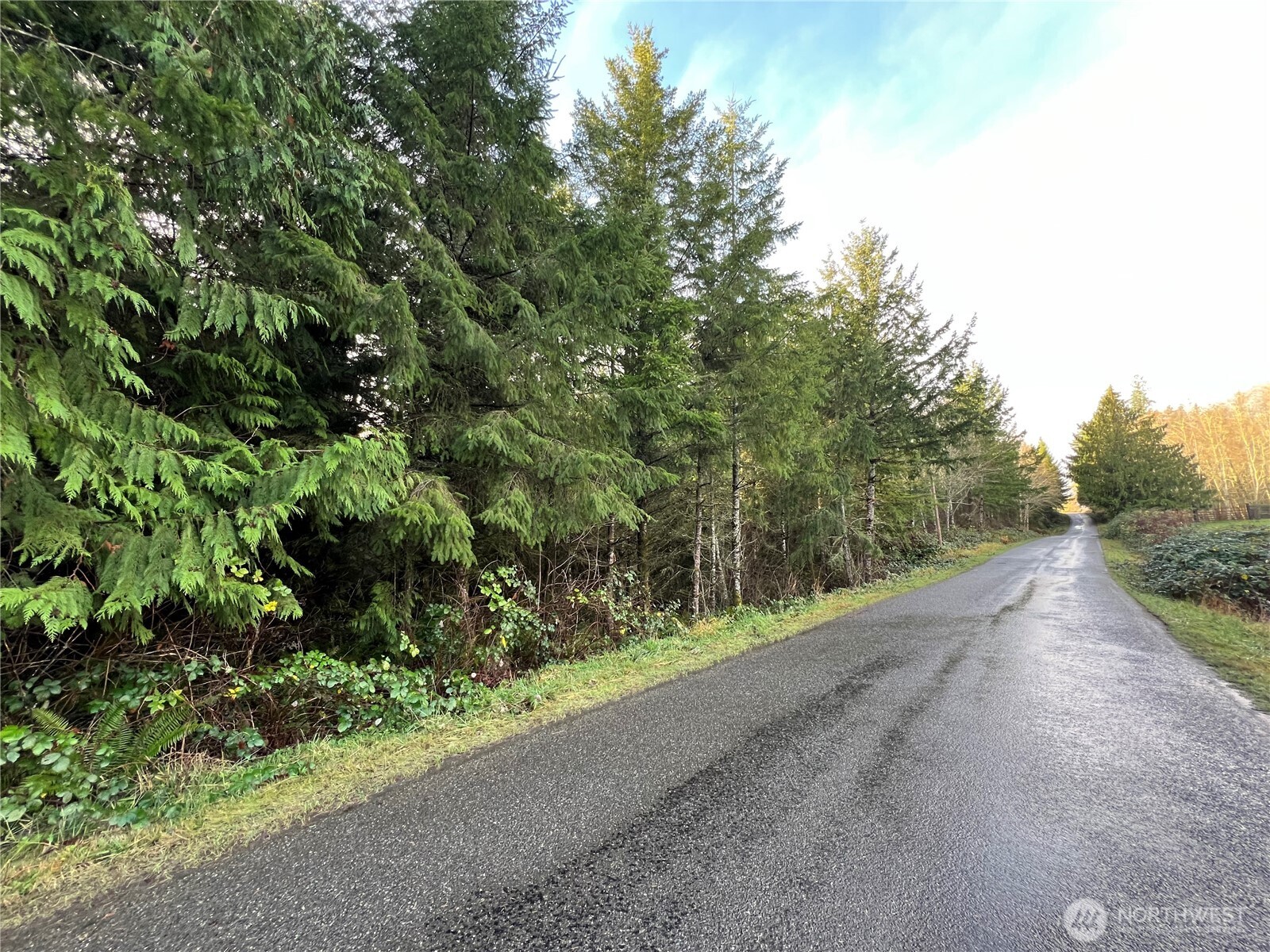 1-xxx Snow Creek Road Quilcene, WA 98376 - Photo 2 of 11 a view of a road with plants and trees all around