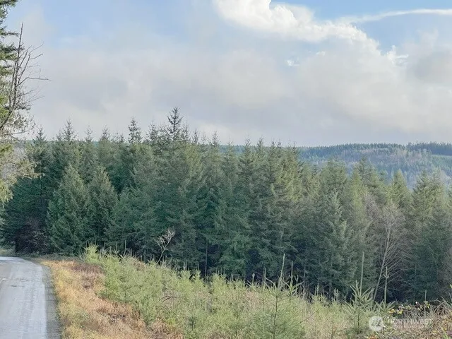 $406,630 | 1-xxx Snow Creek Road, Quilcene, WA 98376