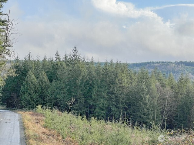 1-xxx Snow Creek Road Quilcene, WA 98376 - Photo 3 of 11 a view of a yard