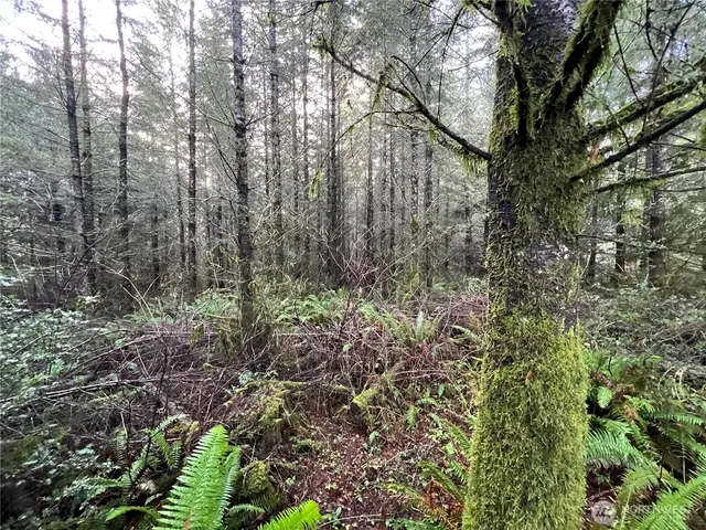 $406,630 | 1-xxx Snow Creek Road, Quilcene, WA 98376