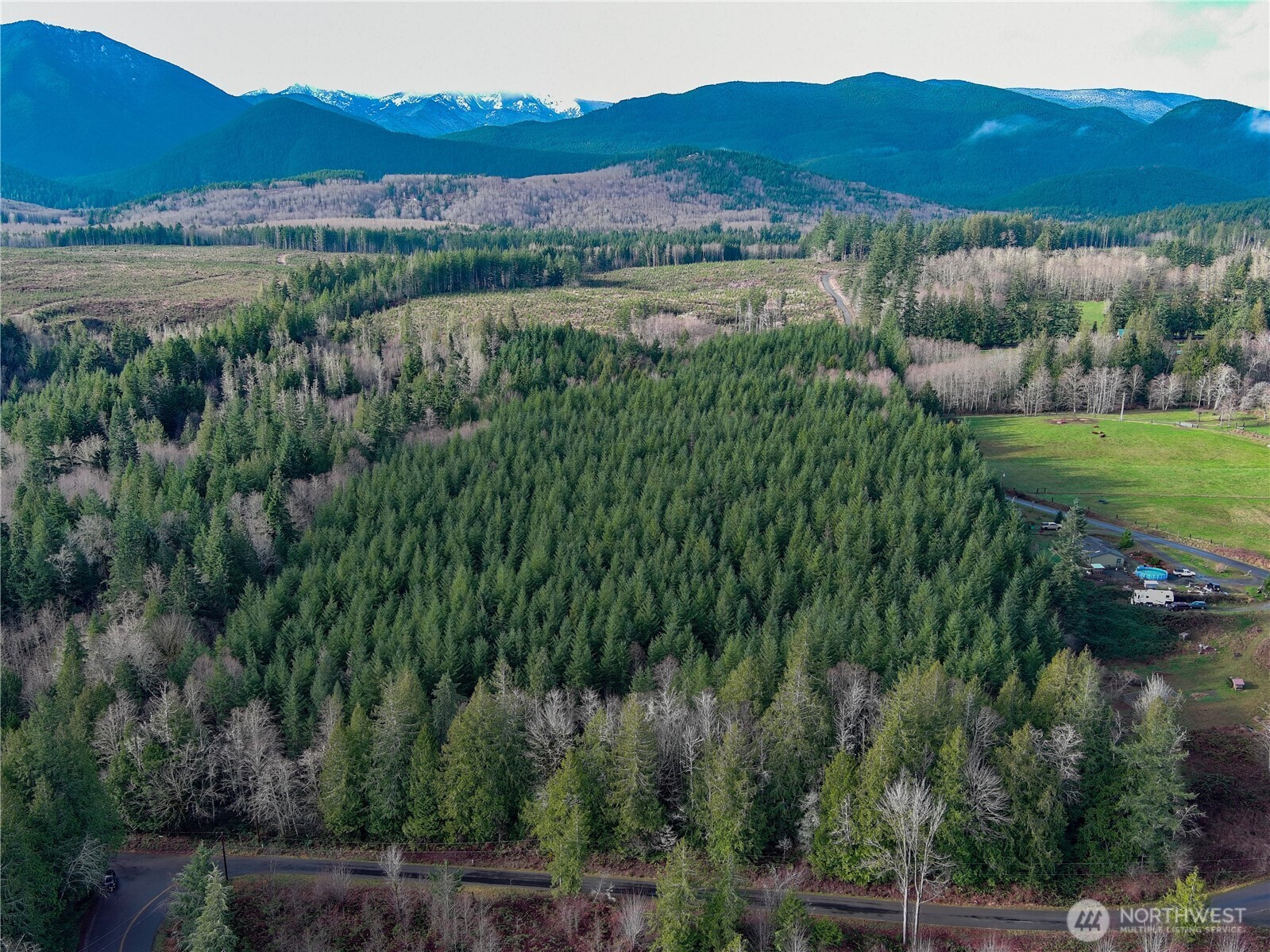 1-xxx Snow Creek Road Quilcene, WA 98376 - Photo 8 of 11 a view of a lush green hillside and a houses