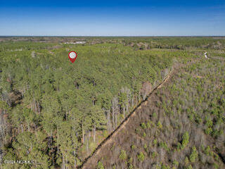 137.18-ac Ivanhoe Road Harrells, NC 28444 - Photo 12 of 21 Ivanhoe Rd 57
