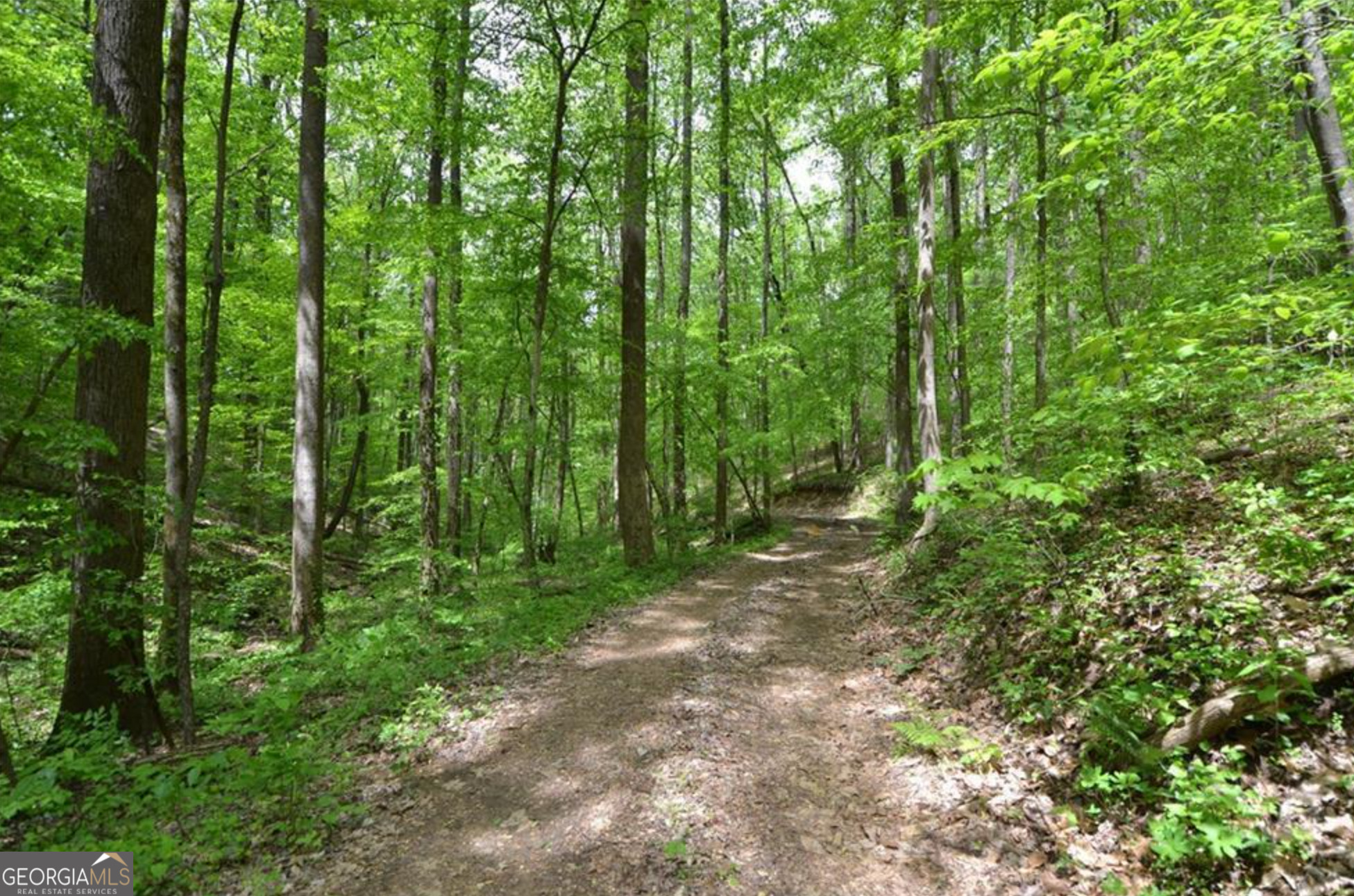 0 Sutton Road Jasper, GA 30175 - Photo 3 of 6 a big yard with lots of green space and trees