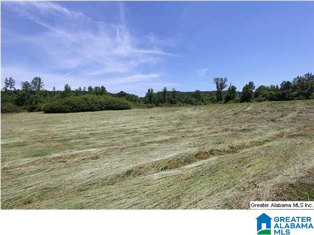 6294 New Liberty Road Jacksonville, AL 36265 - Photo 13 of 32