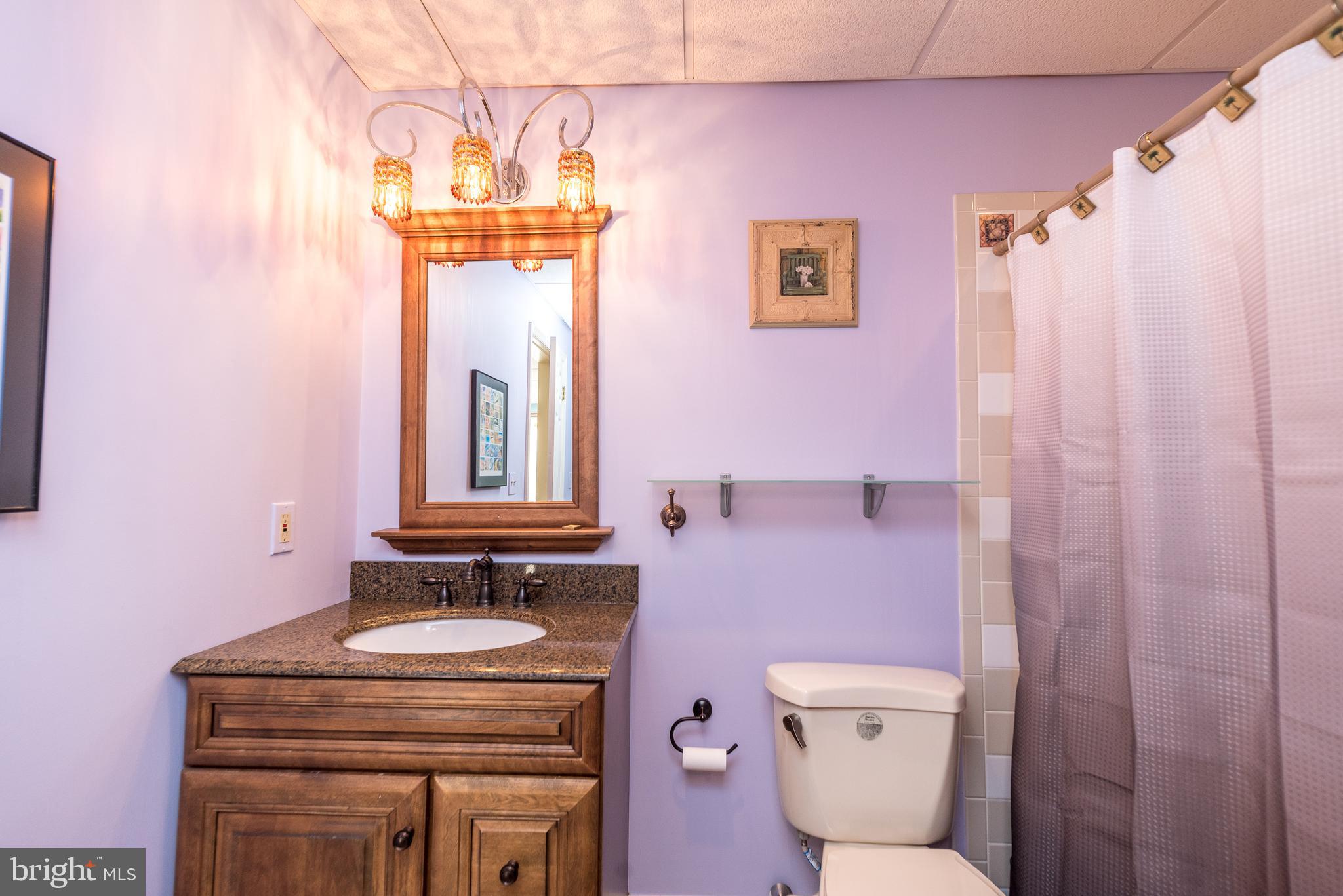 1445 Catlin Way Dresher, PA 19025 - Photo 55 of 70
