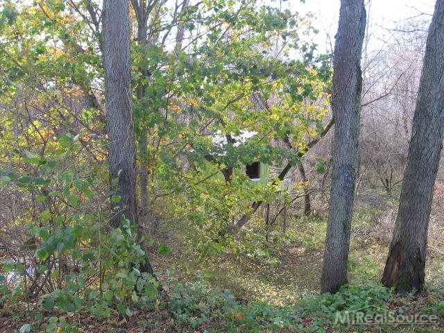 4220 Burns Line Road Croswell, MI 48422 - Photo 25 of 26 31219670-24.JPG