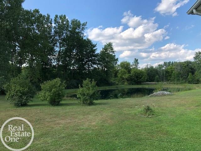 8390 Arendt Road Yale, MI 48097 - Photo 52 of 53 view of pond from home