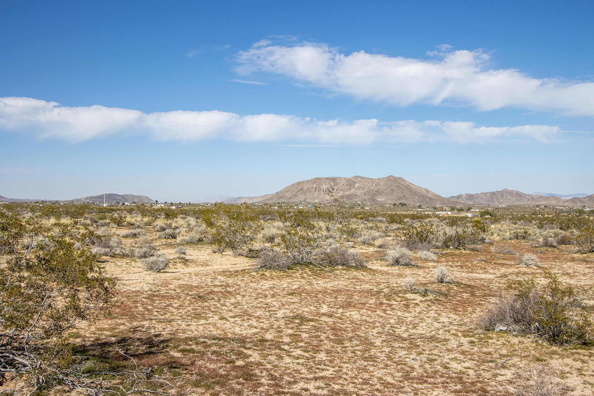 0 Mallow Road Landers, CA 92285 - Photo 11 of 16 IMG_6552