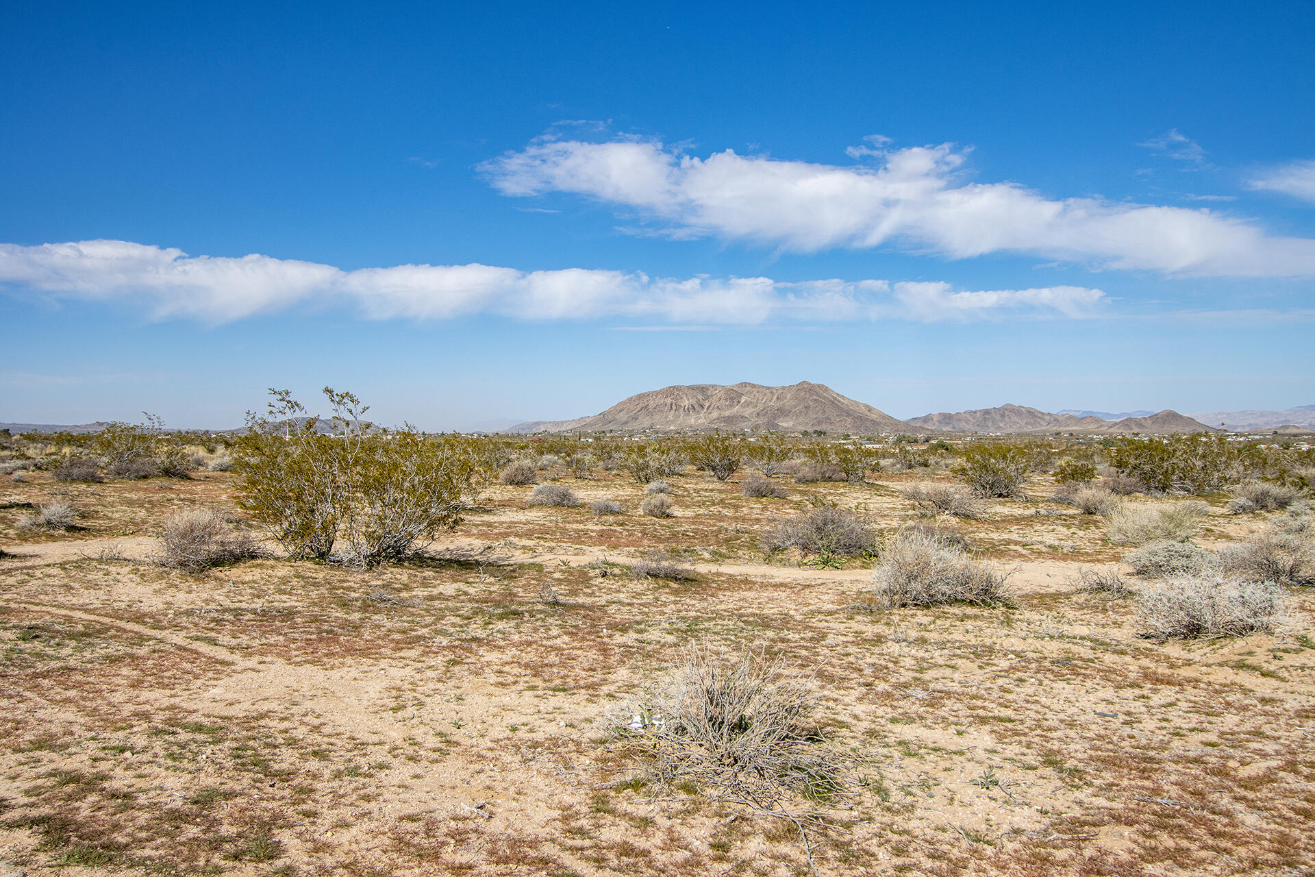 0 Mallow Road Landers, CA 92285 - Photo 13 of 16 IMG_6547
