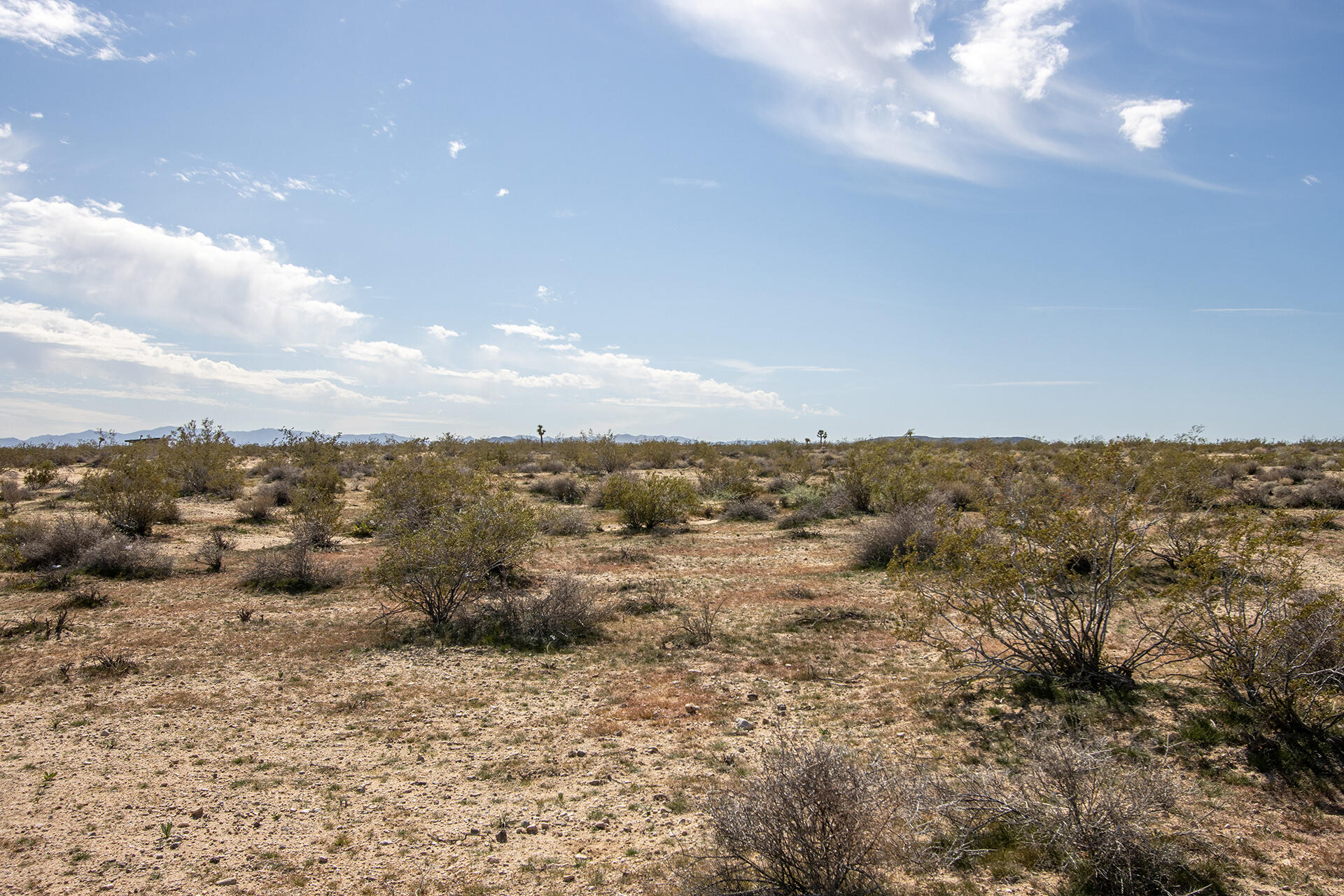 0 Mallow Road Landers, CA 92285 - Photo 14 of 16 IMG_6550