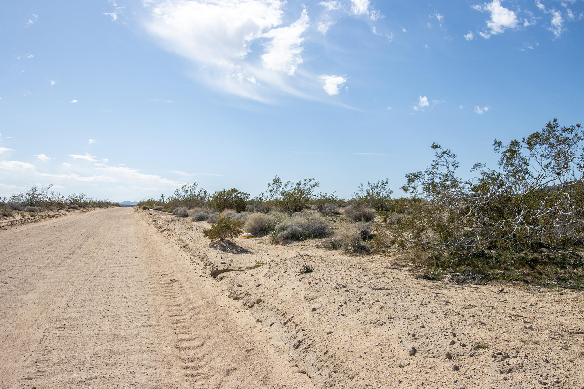 0 Mallow Road Landers, CA 92285 - Photo 6 of 16 IMG_6546
