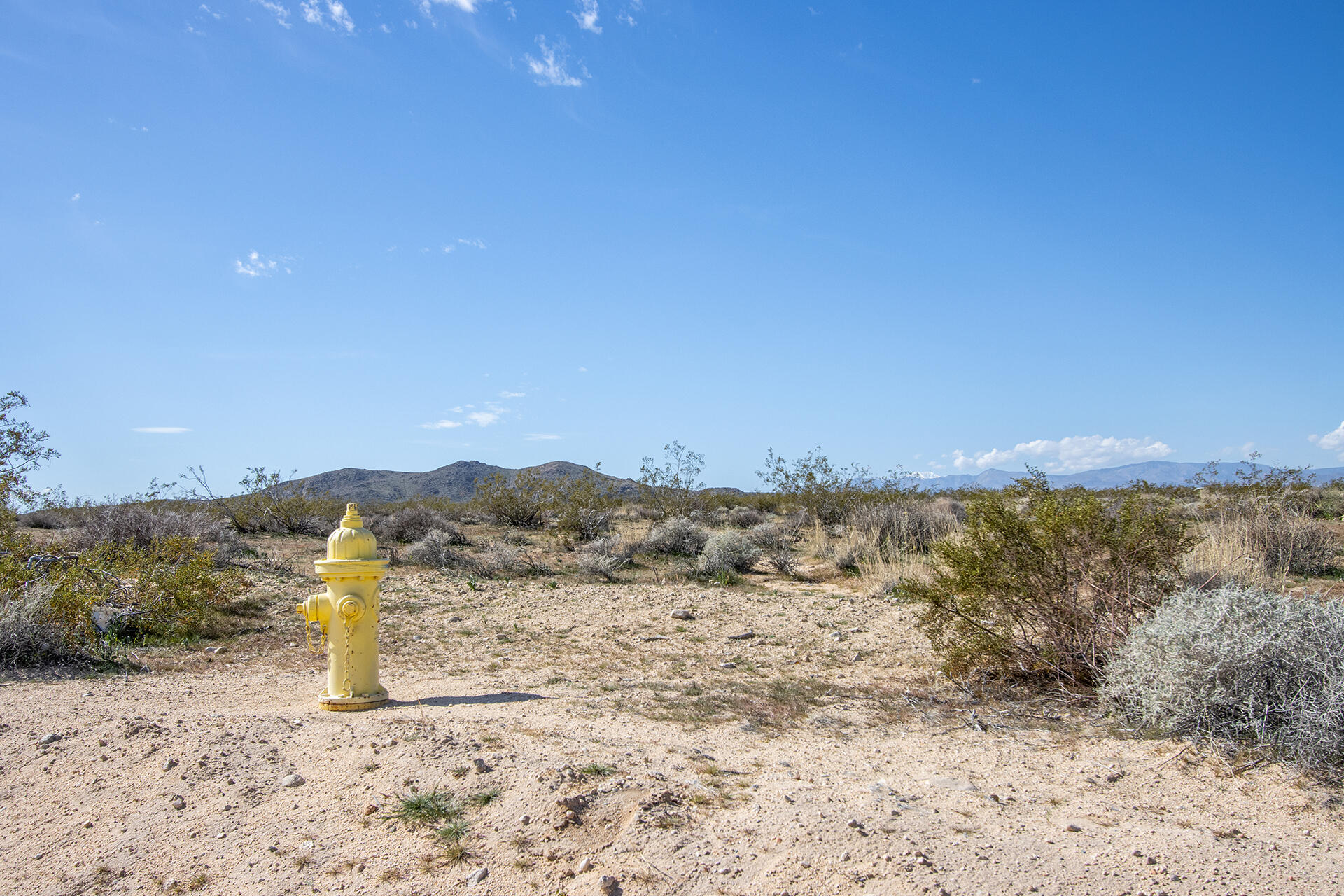 0 Mallow Road Landers, CA 92285 - Photo 7 of 16 IMG_6554