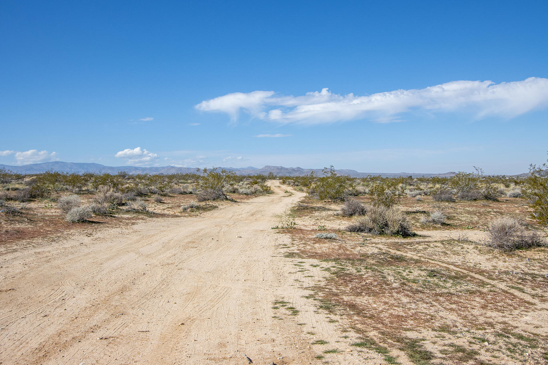 0 Mallow Road Landers, CA 92285 - Photo 9 of 16 IMG_6548