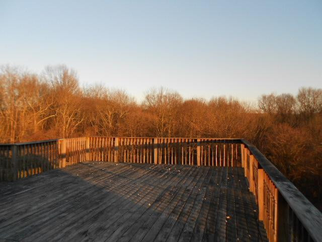 360 Eagle Ridge Drive Dry Ridge, KY 41035 - Photo 16 of 16 Gallery Image 16