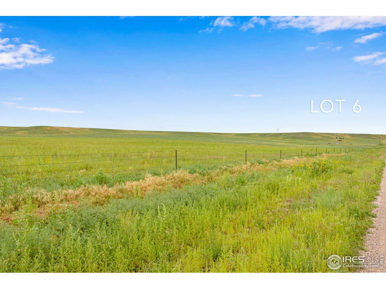 346 Tbd County Road Carr, CO 80612 - Photo 15 of 43 a view of an ocean