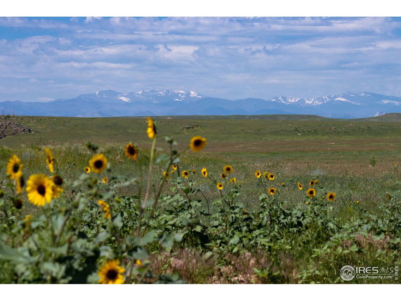 346 Tbd County Road Carr, CO 80612 - Photo 6 of 43 a view of an outdoor space and mountain view