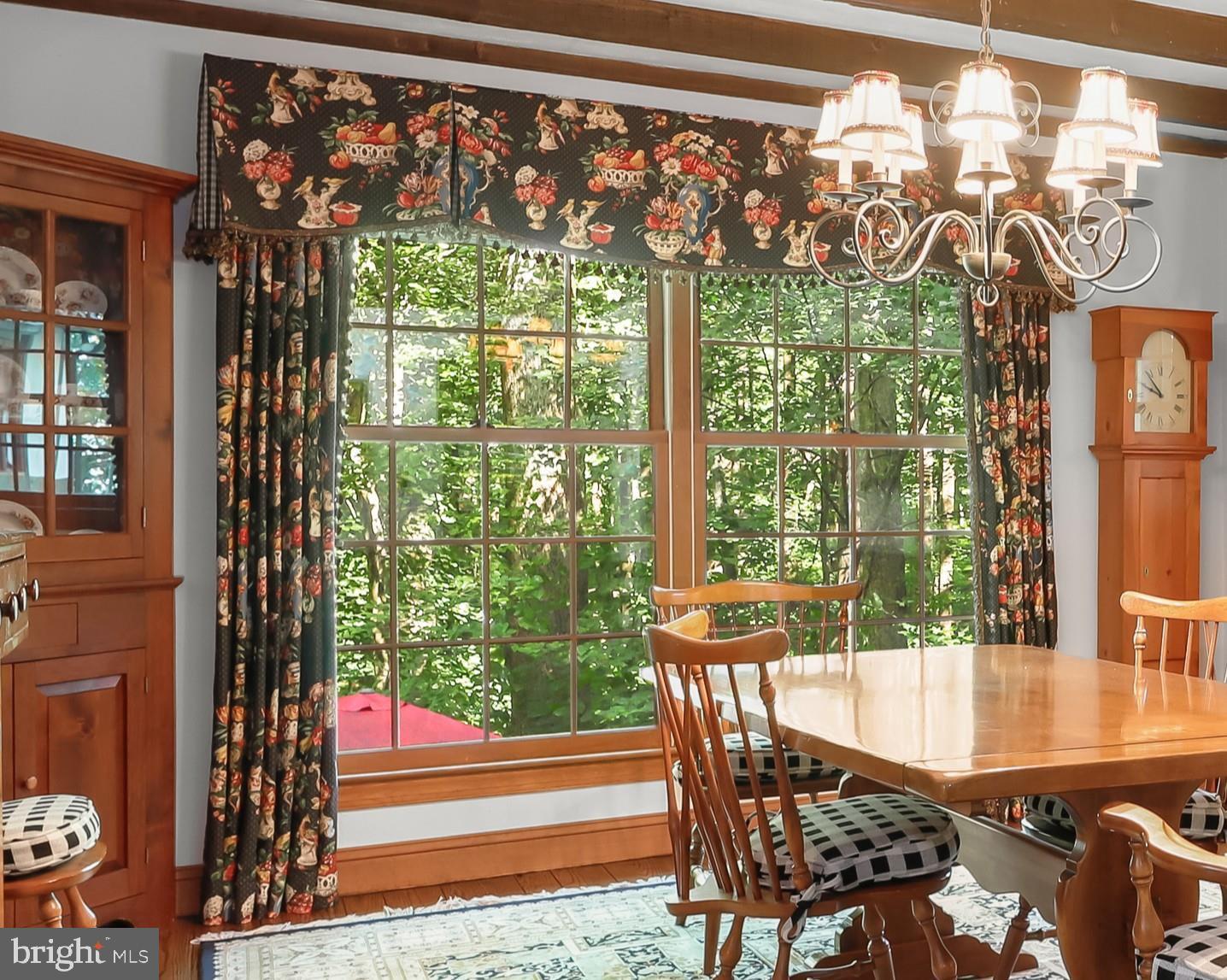 3903 Dance Mill Road Phoenix, MD 21131 - Photo 15 of 79 Oversized Windows - Tranquil Views
