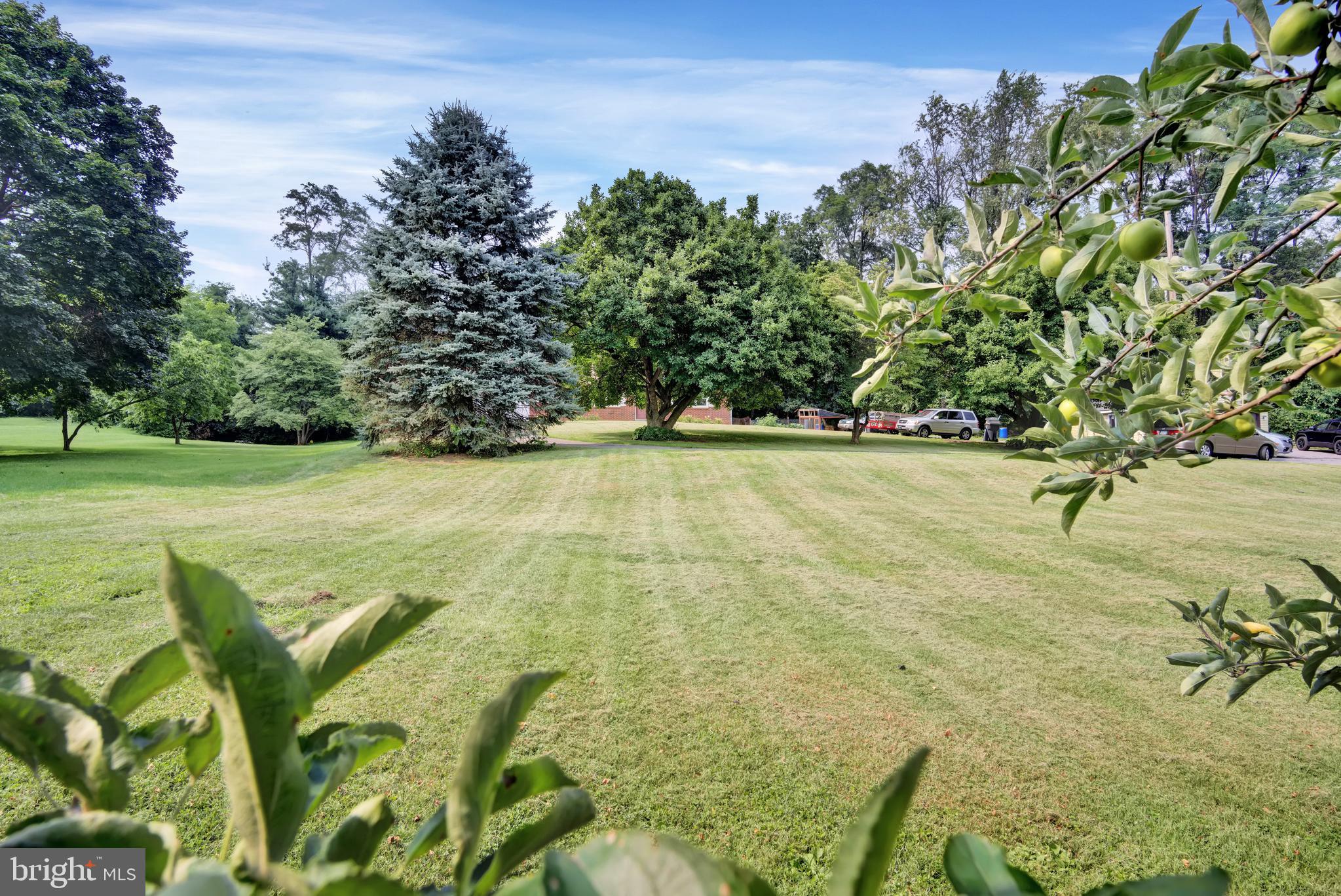 204 West Springville Road Boiling Springs, PA 17007 - Photo 11 of 47 Gallery Image 11