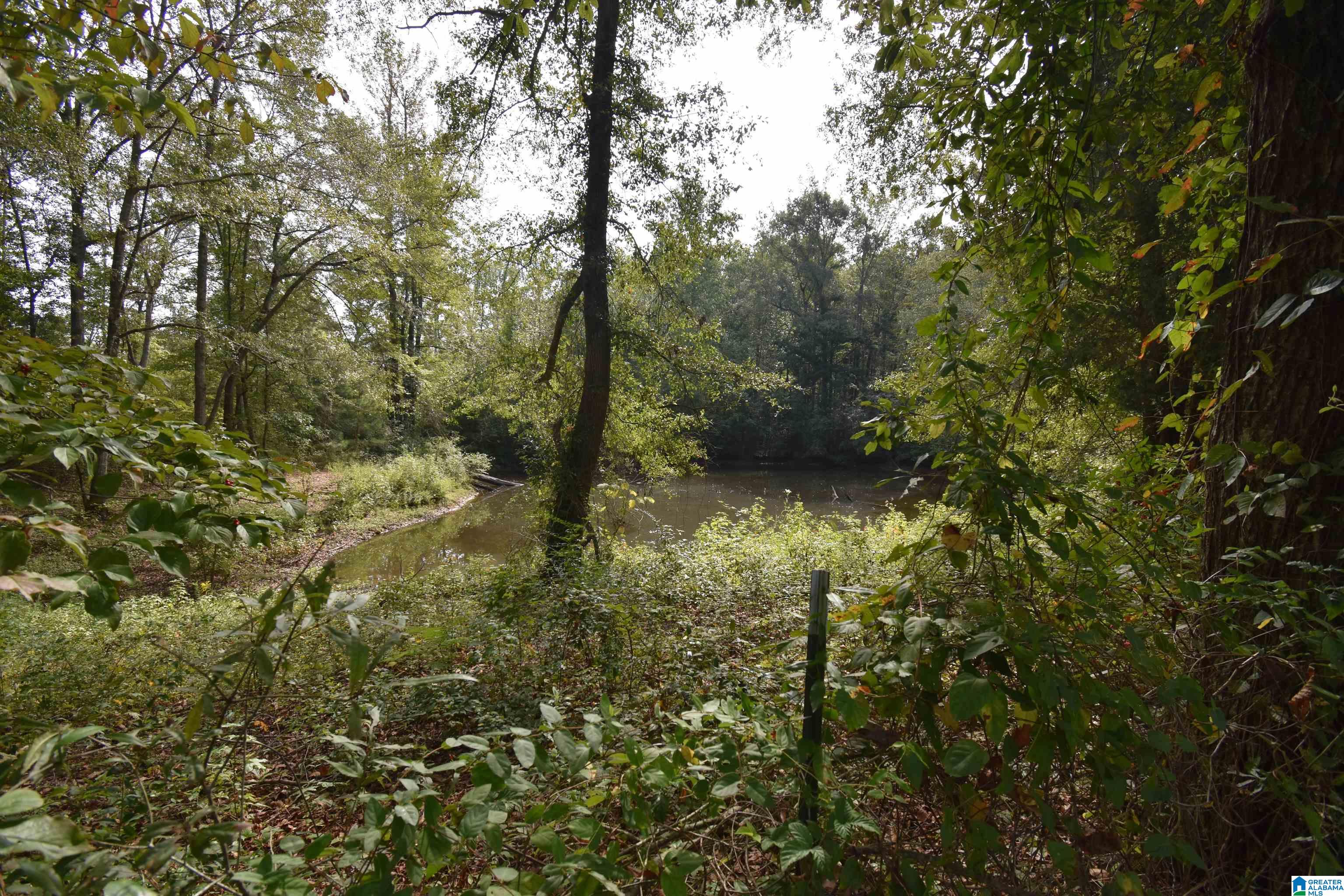 677 Old Walker Road Cleveland, AL 35049 - Photo 28 of 38