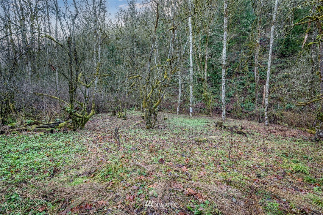 3034 Tower Road Maple Falls, WA 98266 - Photo 23 of 37