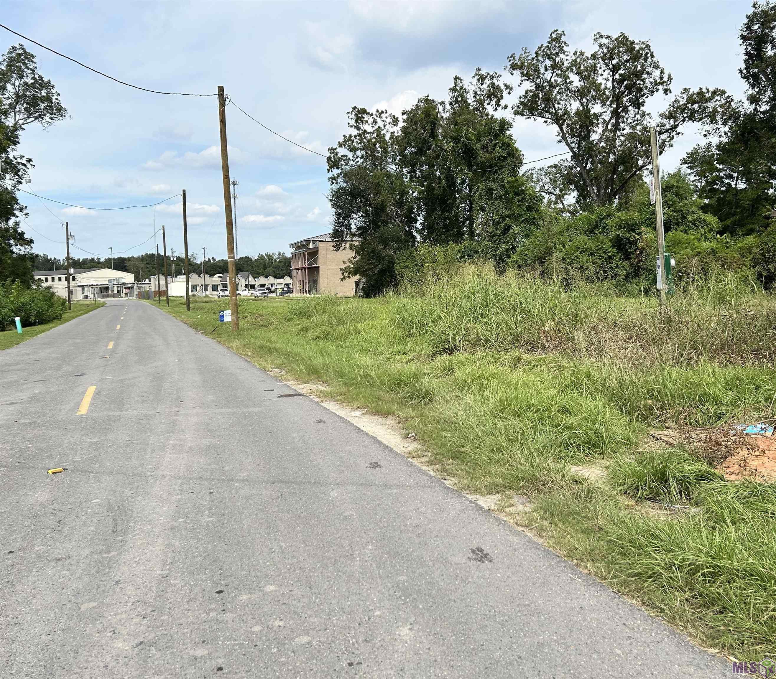 Lot 102 Ravier Lane Sunshine, LA 70780 - Photo 5 of 6