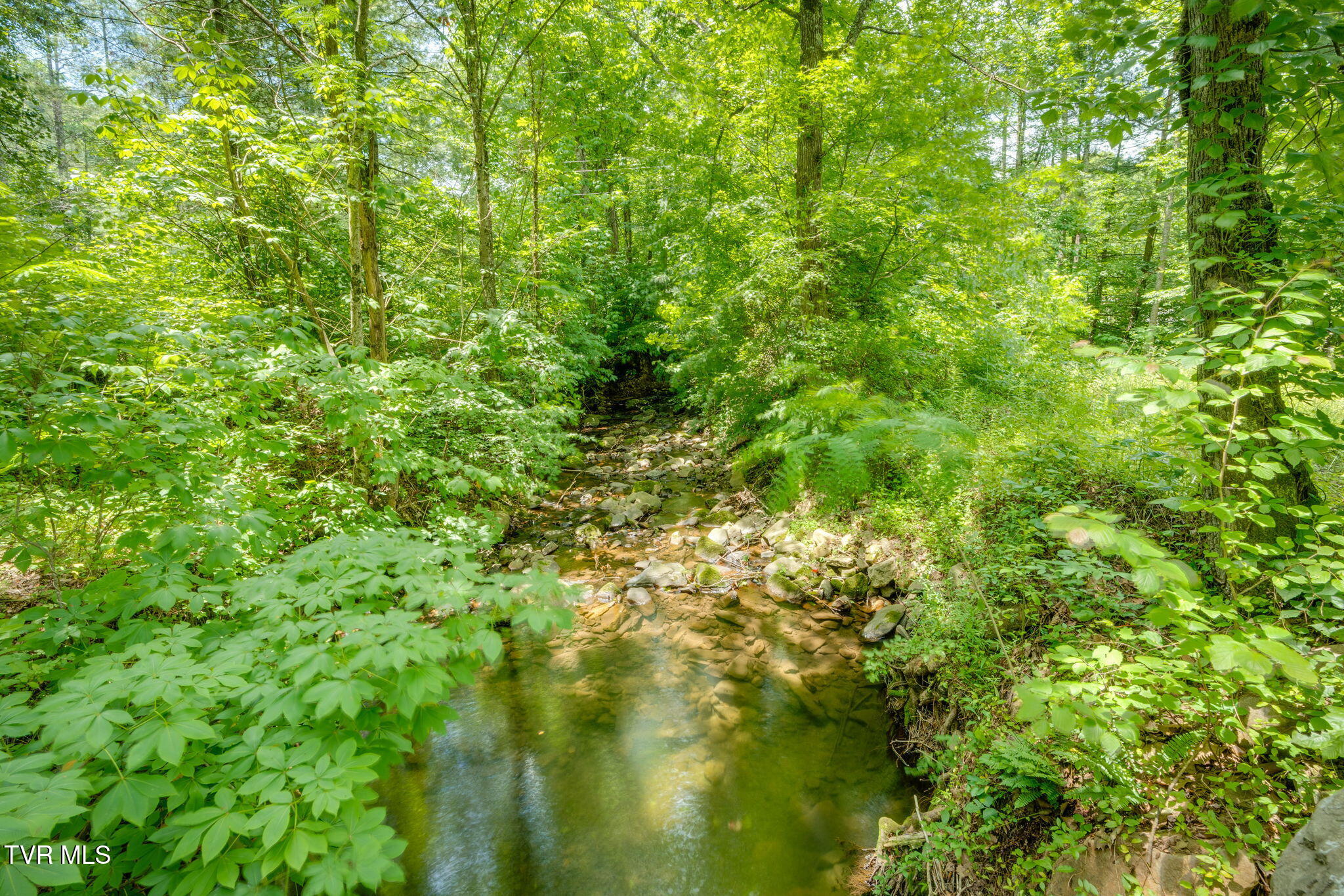 959 Dry Creek Road Jonesborough, TN 37659 - Photo 45 of 54 045