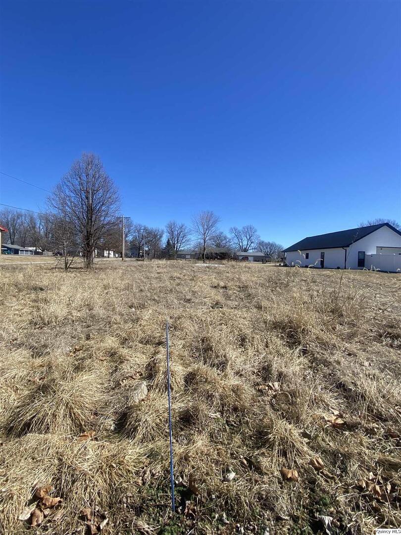 a view of a dry yard with trees