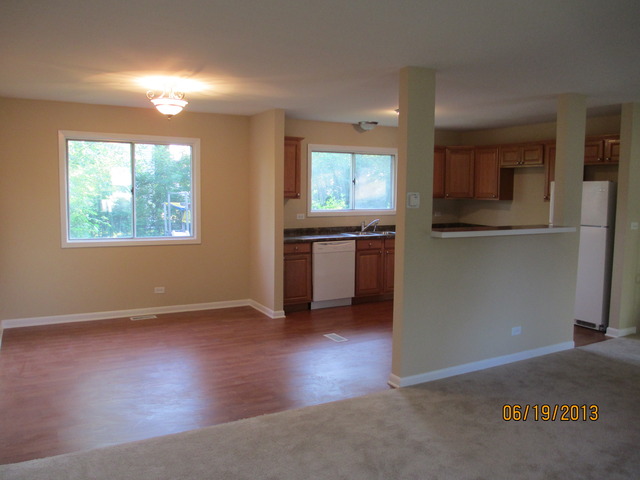 60 Oakview Road Matteson, IL 60443 - Photo 9 of 19