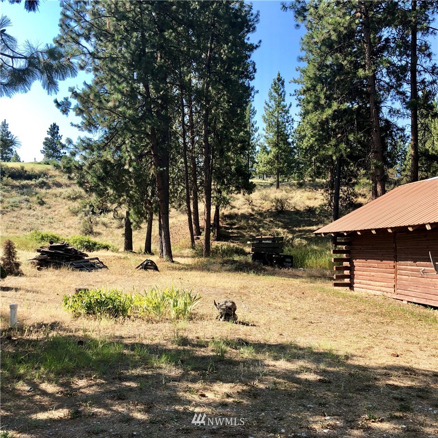 40 Pinecrest Road Tonasket, WA 98855 - Photo 5 of 19