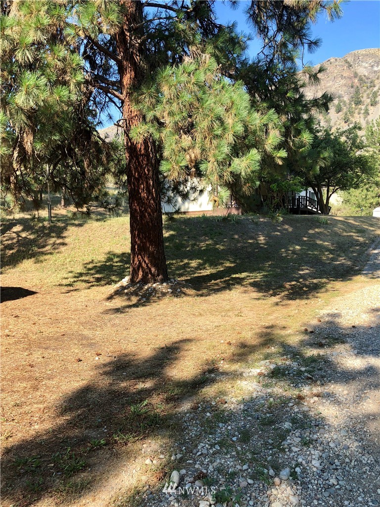 40 Pinecrest Road Tonasket, WA 98855 - Photo 6 of 19