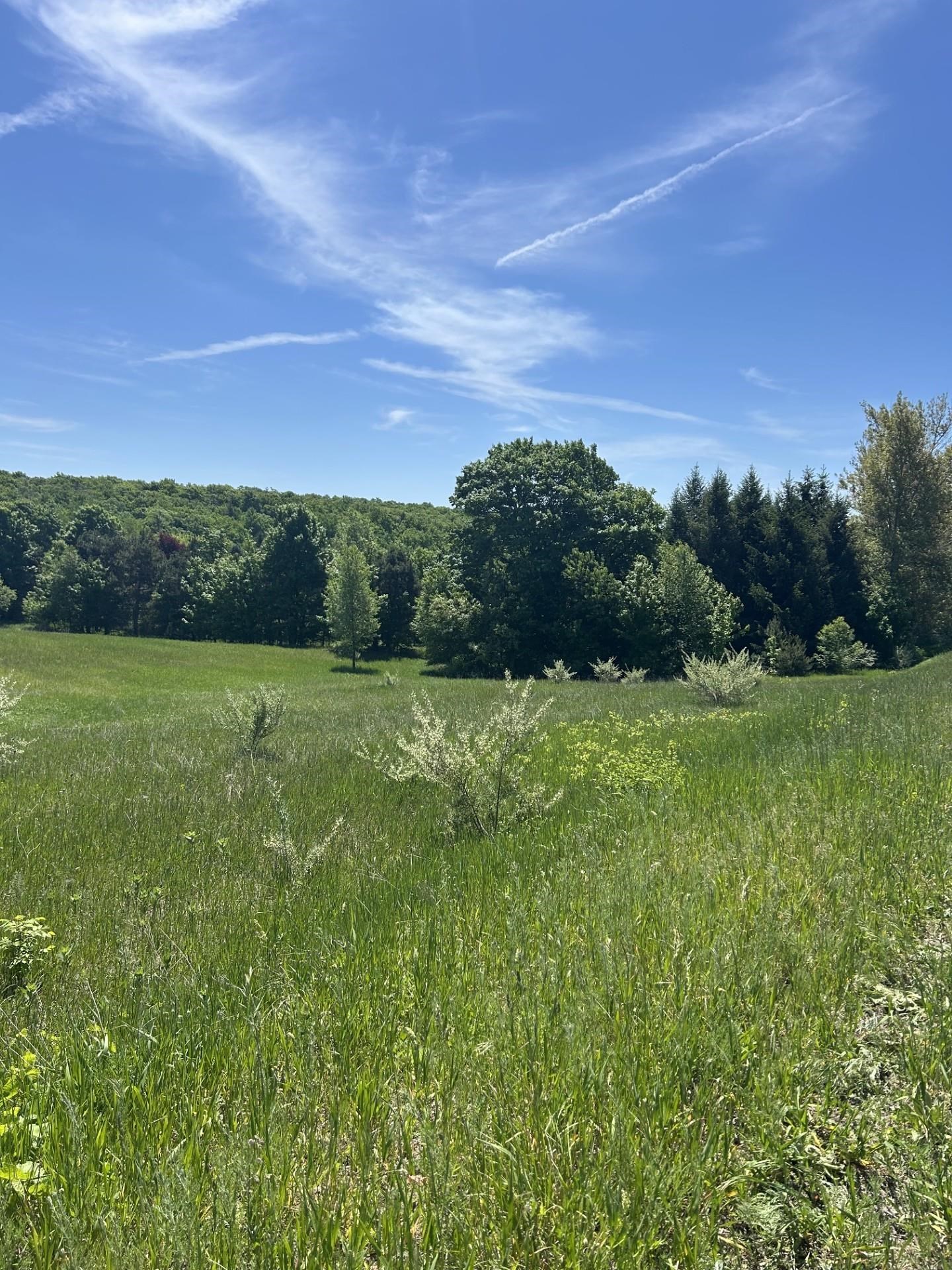 0 South Maple Valley Road Suttons Bay, MI 49682 - Photo 2 of 9